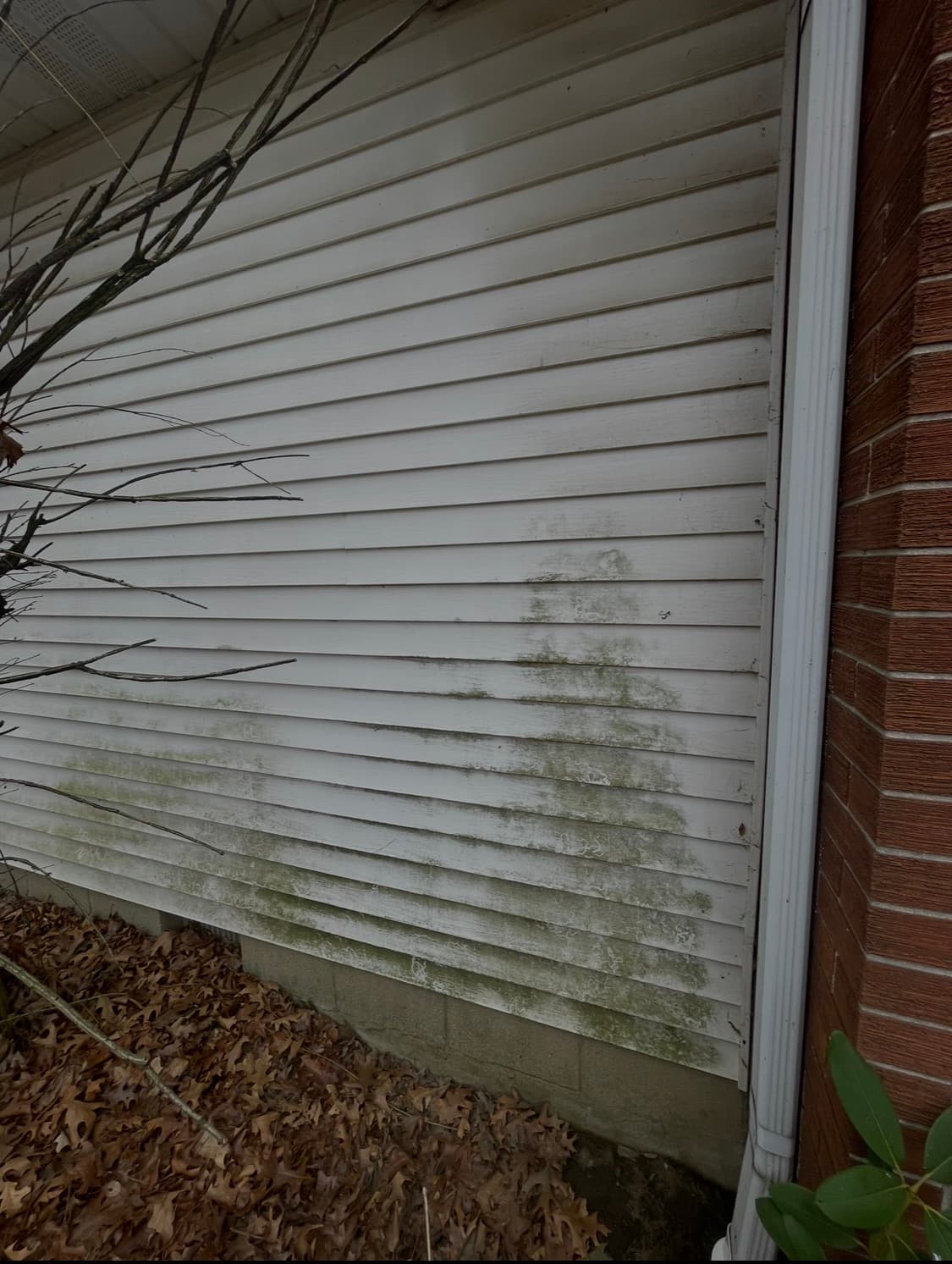 Siding