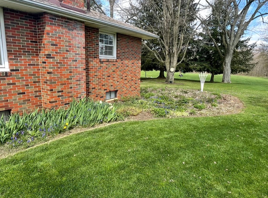 Yard & Property