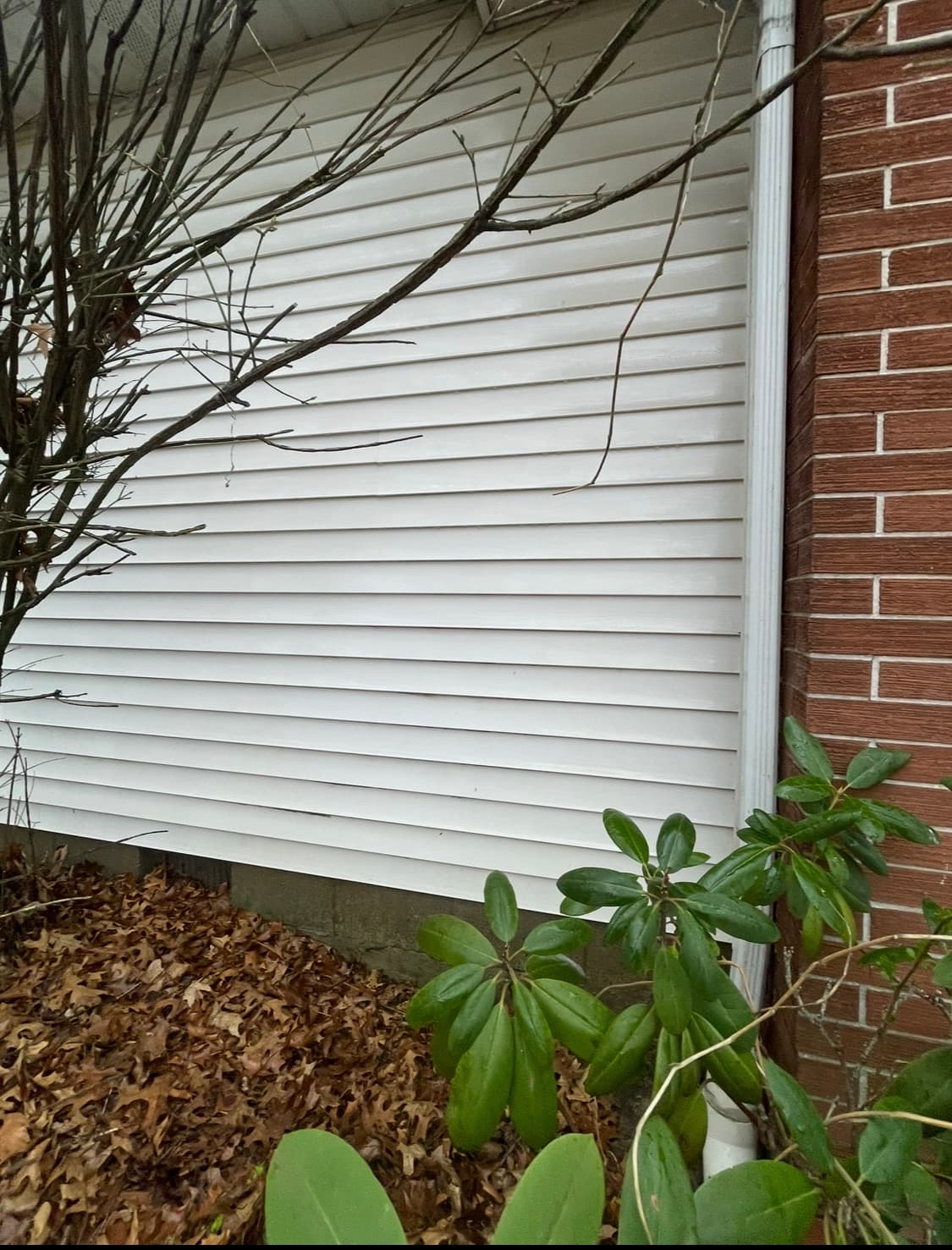 After — Siding