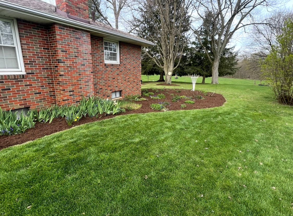 After — Yard & Property
